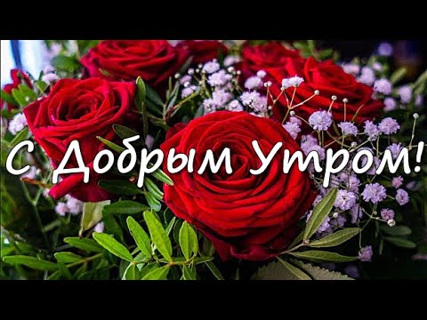 Пожелания с добрым утром и удачного дня 🔥 BipBap.ru