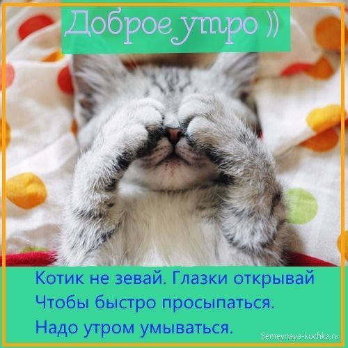 Доброе утро котенок картинки