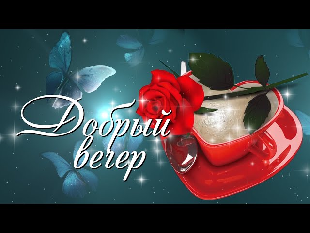 Добрый вечер