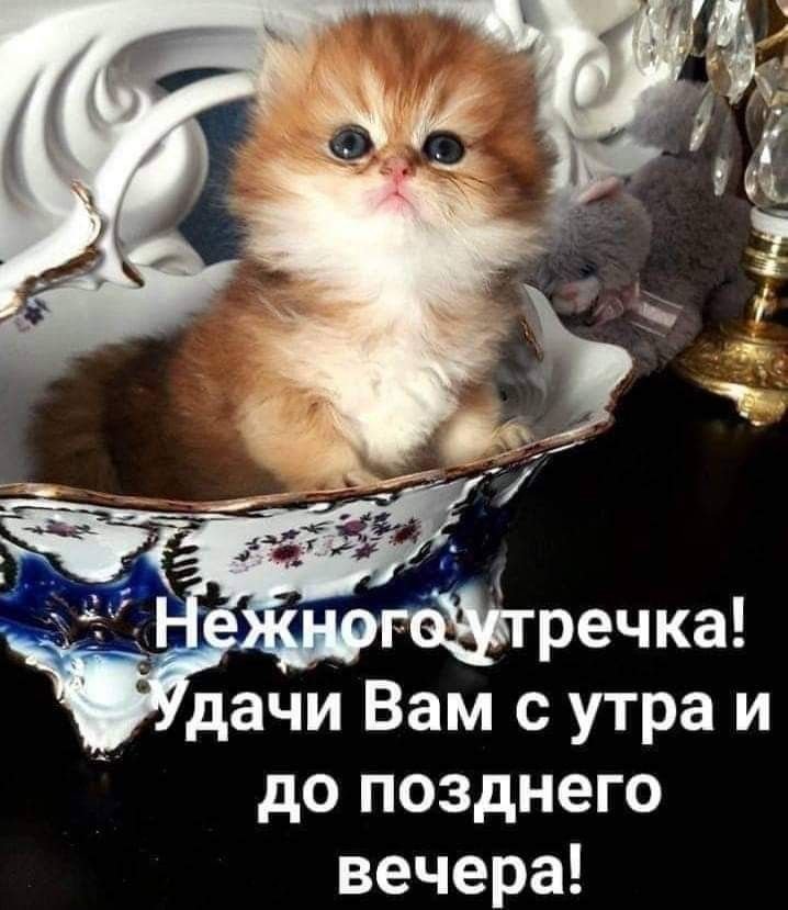 🍁 ⛅ ☕ Картинки С добрым осенним утром