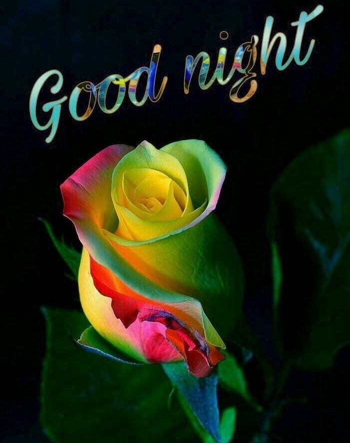 Wish good night