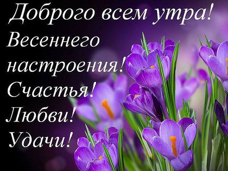 💌☀️😄 Картинки Хорошего дня