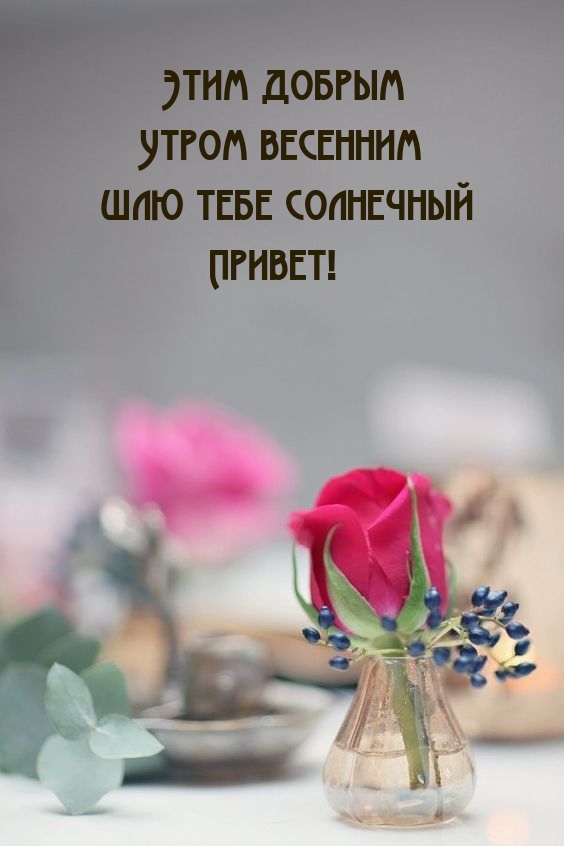 🌸✨🌸 С ДОБРЫМ МАРТОВСКИМ УТРОМ 🌸✨🌸 Идёт по городу весна