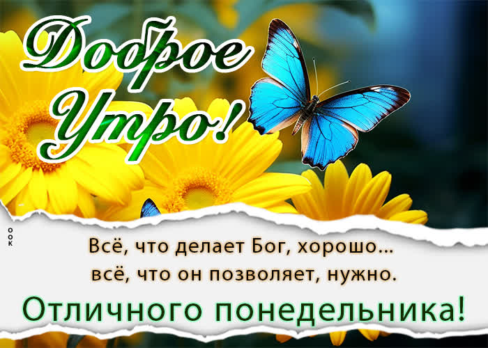 Открытка Доброе утро Понедельника!