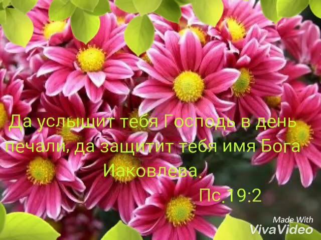 Поздравления с Днем рождения пожилому мужчине: стихи, проза