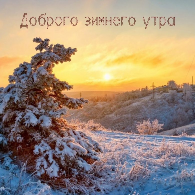 Красивые доброе утро природа картинки