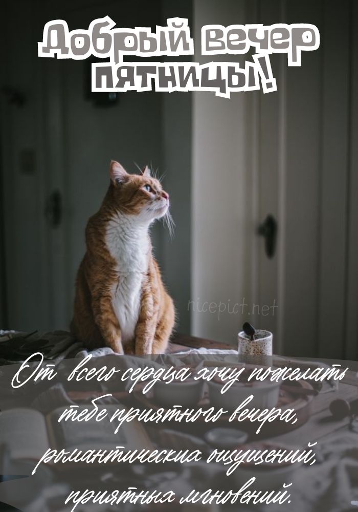 Приятной пятницы картинки