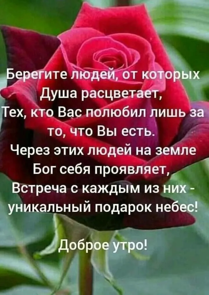 Открытки | Будьте счастливы #счастье | Instagram