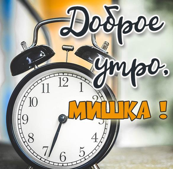 Мем: С добрым утром Мой Миша