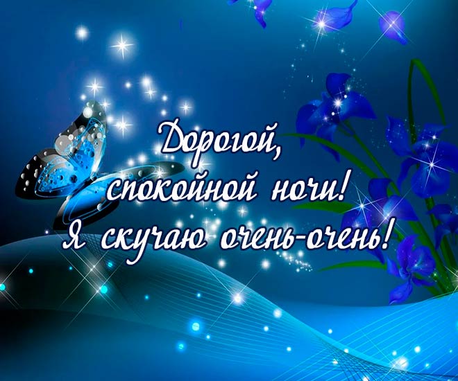 Я желаю вам доброй ночи!