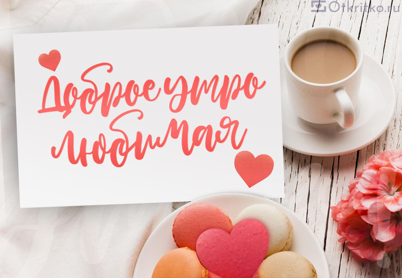 Спасибо, Жизнь, за новый день!!!❤️ 🙏💐💝🌺