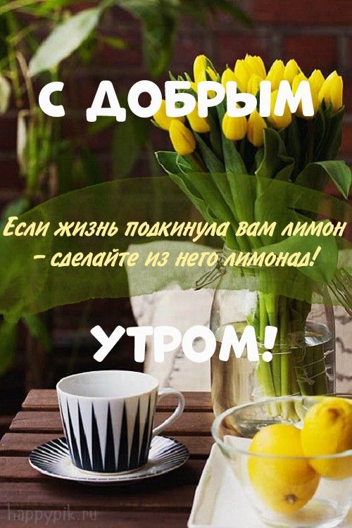 Открытки Доброе утро! и Хорошего дня! 