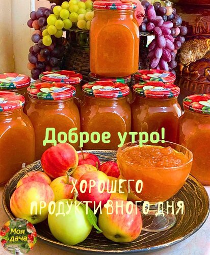 Доброе утро☀ 🌝⏰ Хорошего продуктивного дня, прекрасного