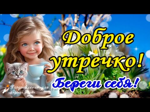 доброе утро доброго дня красивые