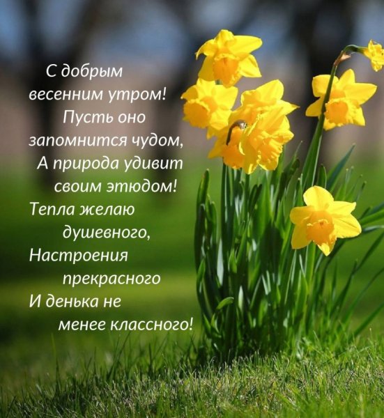 🌸✨🌸 С ДОБРЫМ МАРТОВСКИМ УТРОМ