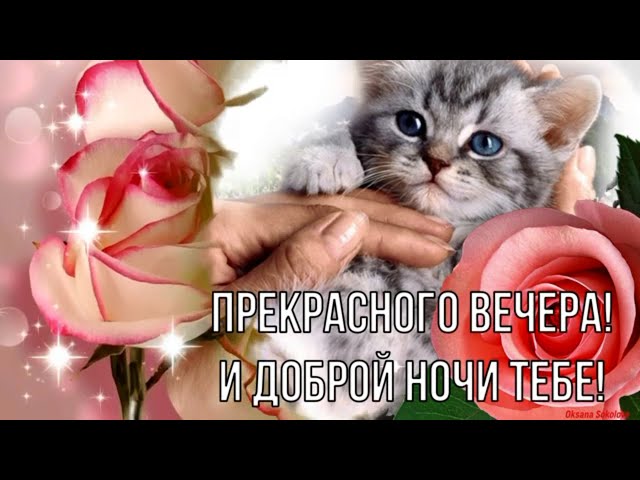 Желаю уютного вечера анимация Добрый вечер открытка позитива тебе