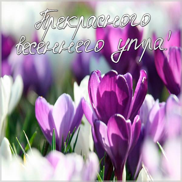 Доброго утра! Хорошего дня! 😊☺😉 | С добрым утром