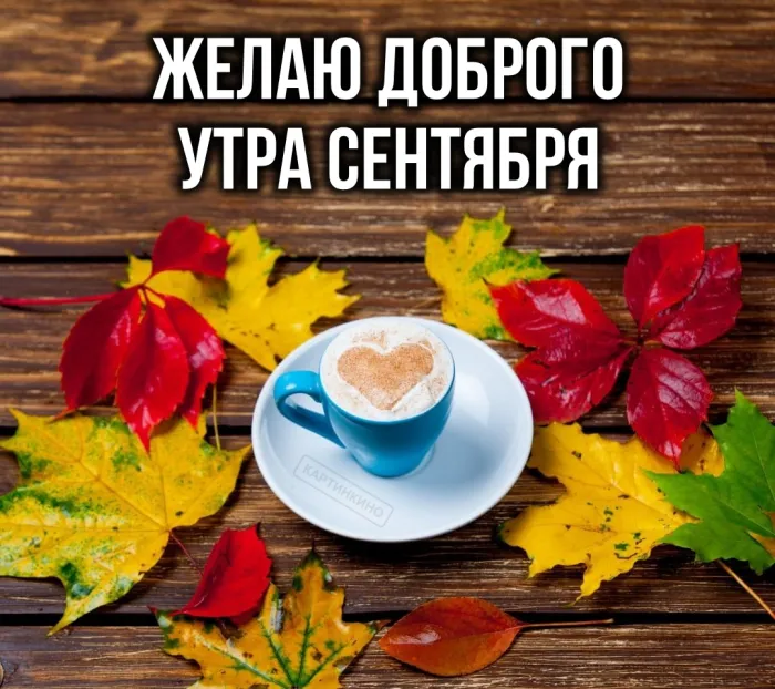 Открытки с добрым утром