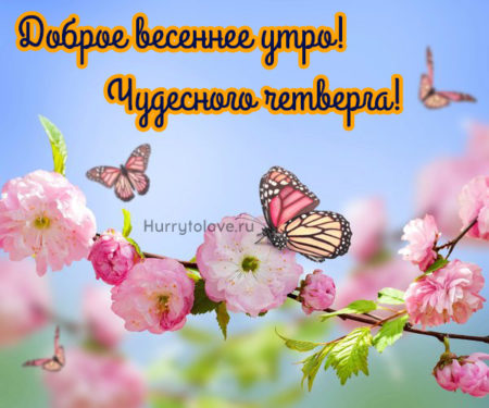 Открытки Доброго утра! весной 