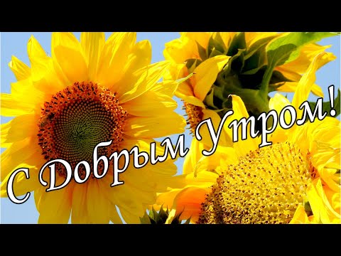 Доброе утро Картинки и красивые Открытки с добрым утром ☀️