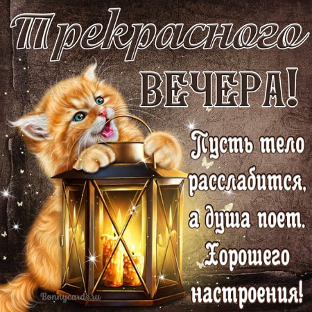 Прекрасного вечера!