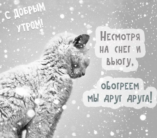 Идеи на тему «Доброе утро.Зима.» | доброе утро