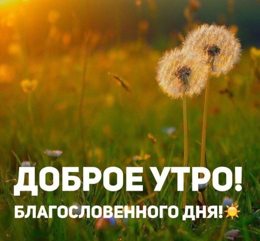 Картинка благословенное утро 