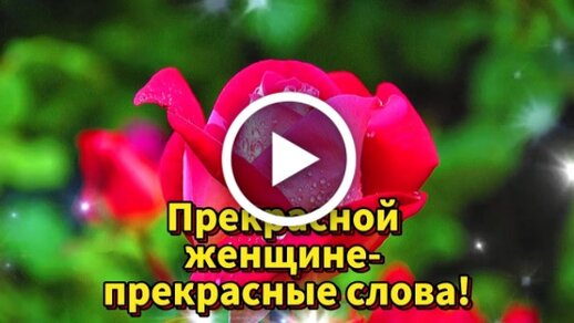 Картинки цветы любимой жене от мужа в 