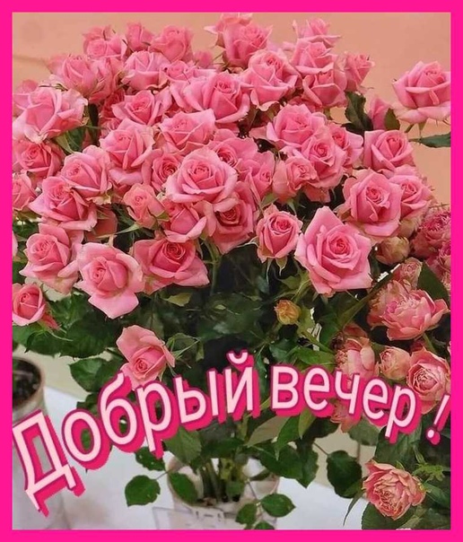 Добрый Вечер Четверг Весна | TikTok