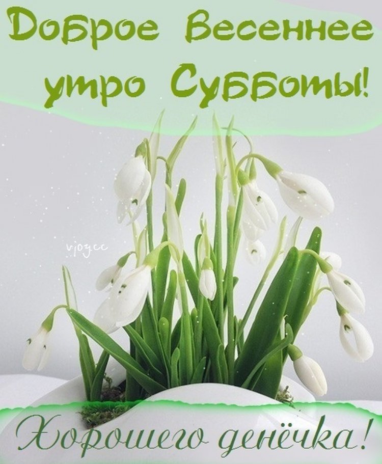 С ДОБРЫМ ВЕСЕННИМ УТРОМ СУББОТЫ💐/ С