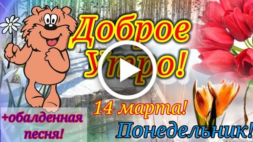 Доброе утро, друзья! Сегодня 14 марта