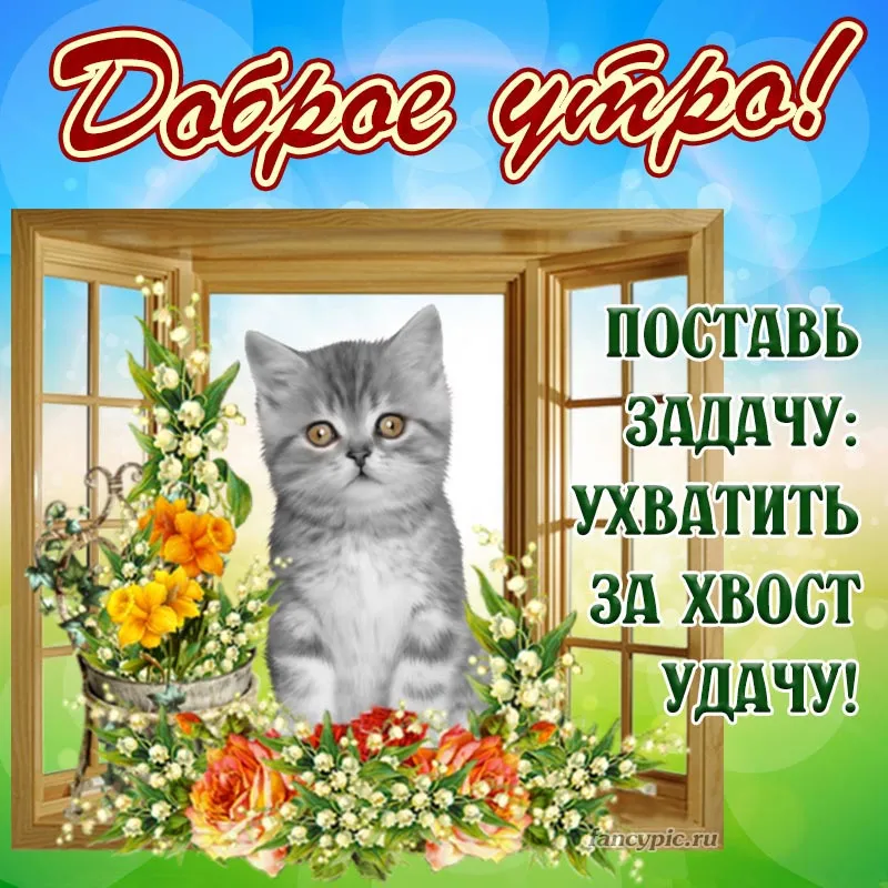 Друзья, доброе утро!☀ Всем отличного настроения в эту