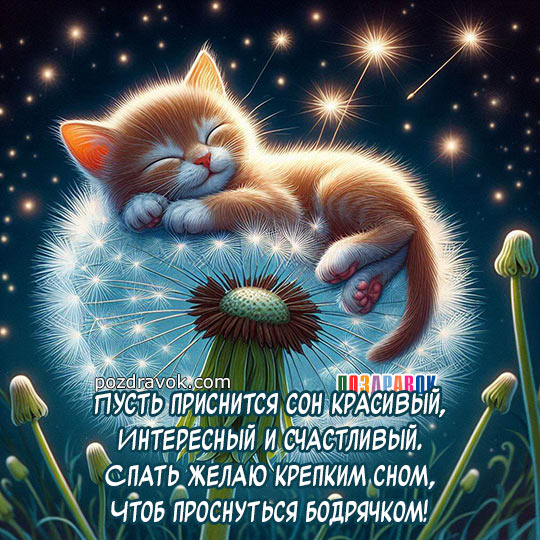 Картинки Спокойной ночи любимому🌙