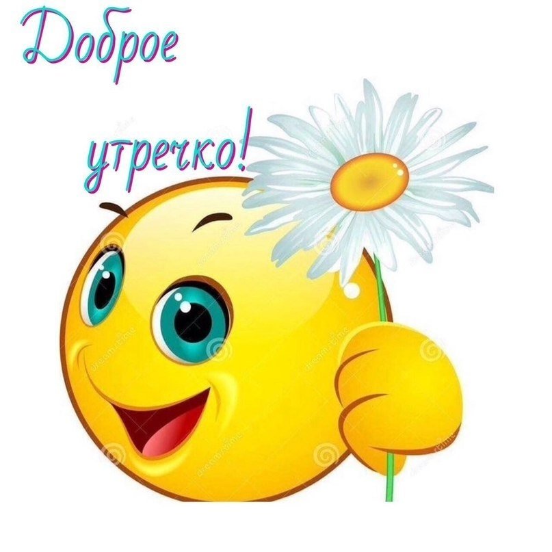 Видеооткрытка с добрым утром | TikTok