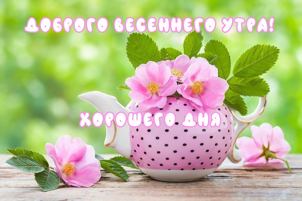 🌸✨🌸 С ДОБРЫМ МАРТОВСКИМ УТРОМ