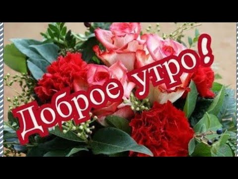 Доброе осеннее утро! 🍁 | Осенние