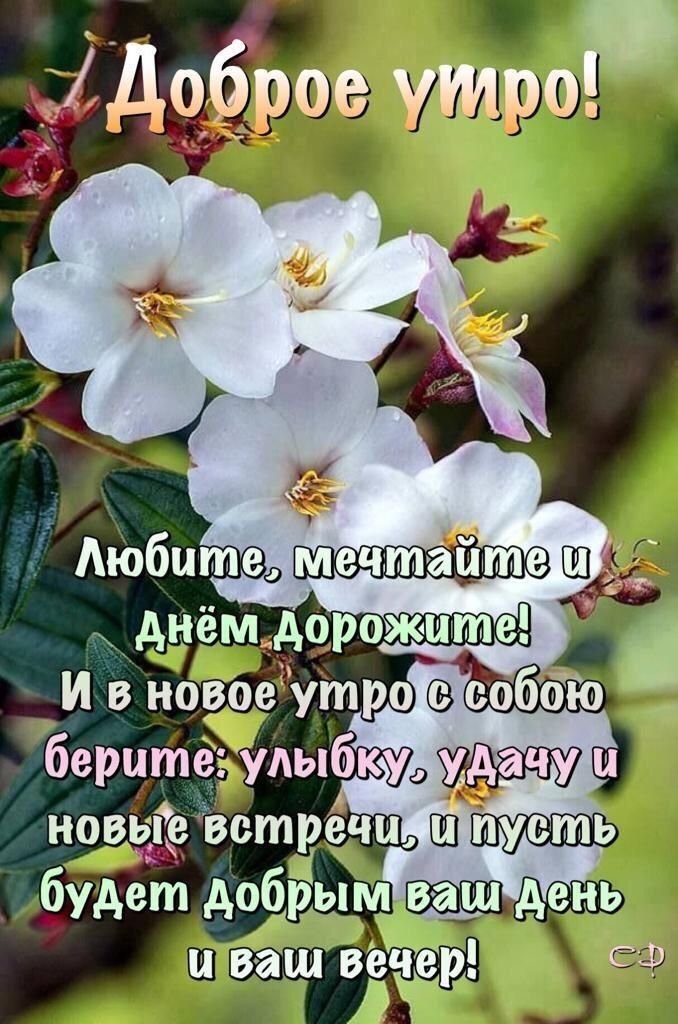 Осенние открытки доброго утра