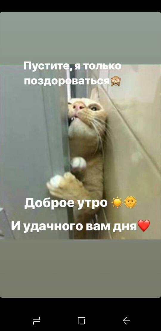 З Добрым Утром Смешные Картинки | TikTok