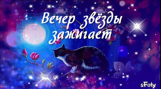 Добрый ВЕЧЕР! Спокойной НОЧИ! ❤️