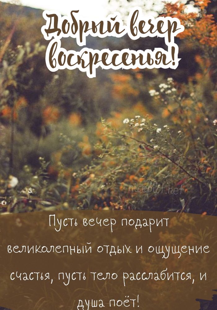 Открытка желаю уютного вечера