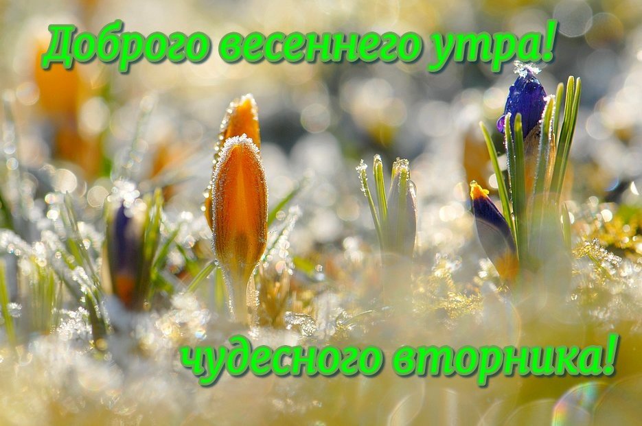 🌷🌞💗 Самого доброго весеннего утра