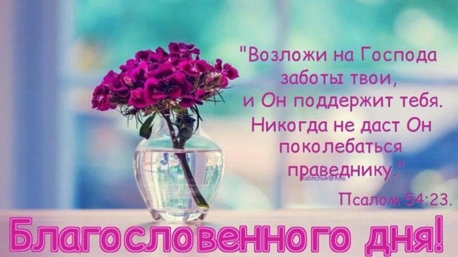 Открытка Доброго вам дня! Мир вам и