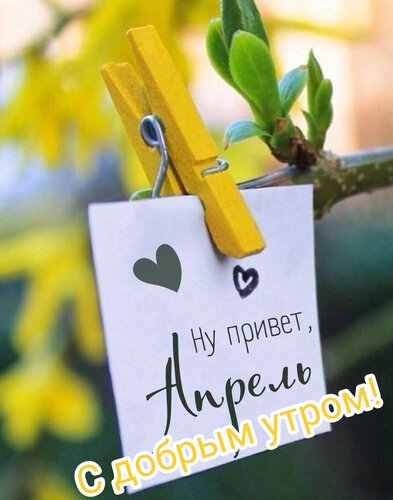 Идеи на тему «Доброе утро» 