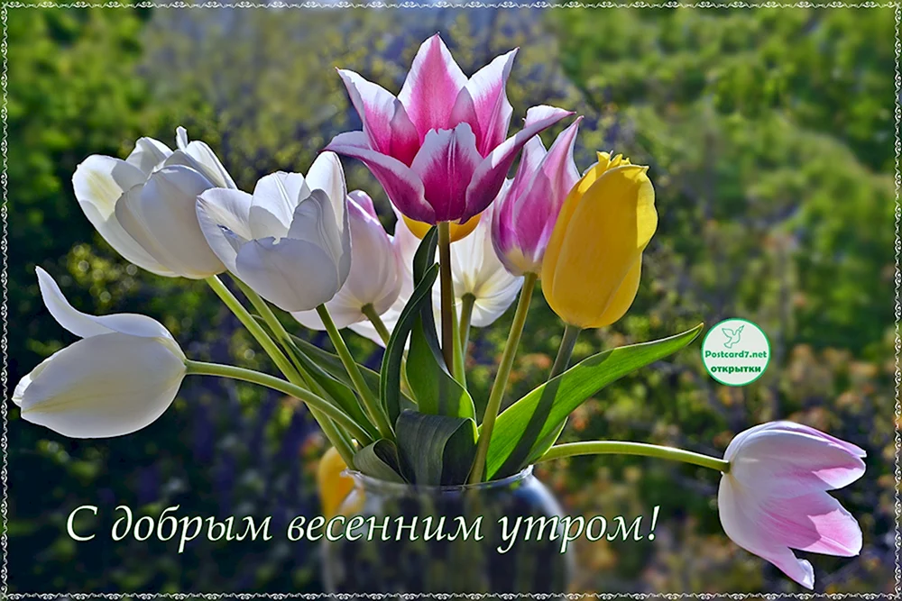 🌞🌼☕Самого доброго весеннего утра