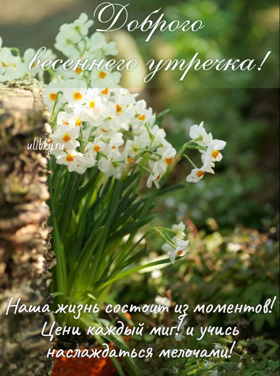 Доброе утро! 🌸 Счастливой вам Весны! 🌺 С Добрым весенним