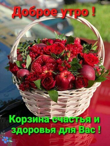 🌸🌞💗Доброго утра благословенного дня