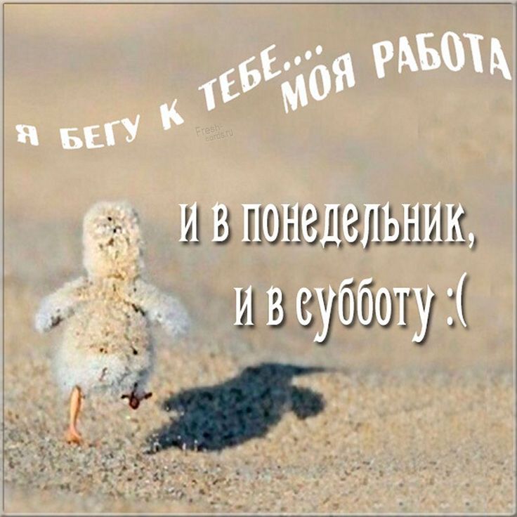 прикол #юмор #доброеутро #суббота