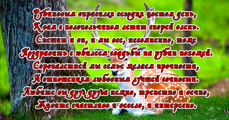 Поздравления и тосты на свадьбу молодоженам от родителей в