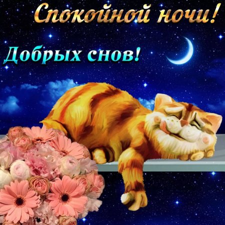 Спокойных и мирных снов!! Доброй ночи, Друзья!! До завтра