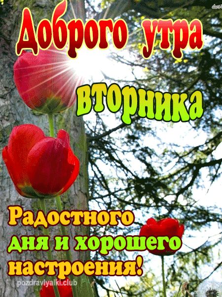 Открытки Доброго утра! весной 